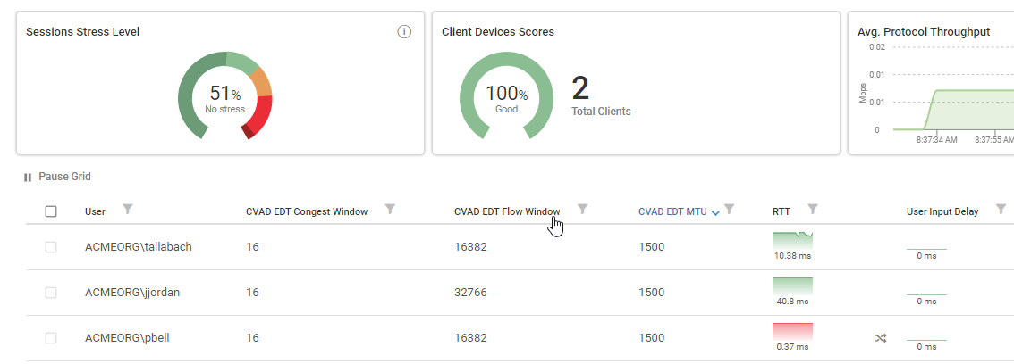 A image showing multiple users and the different values for their Citrix EDT metrics