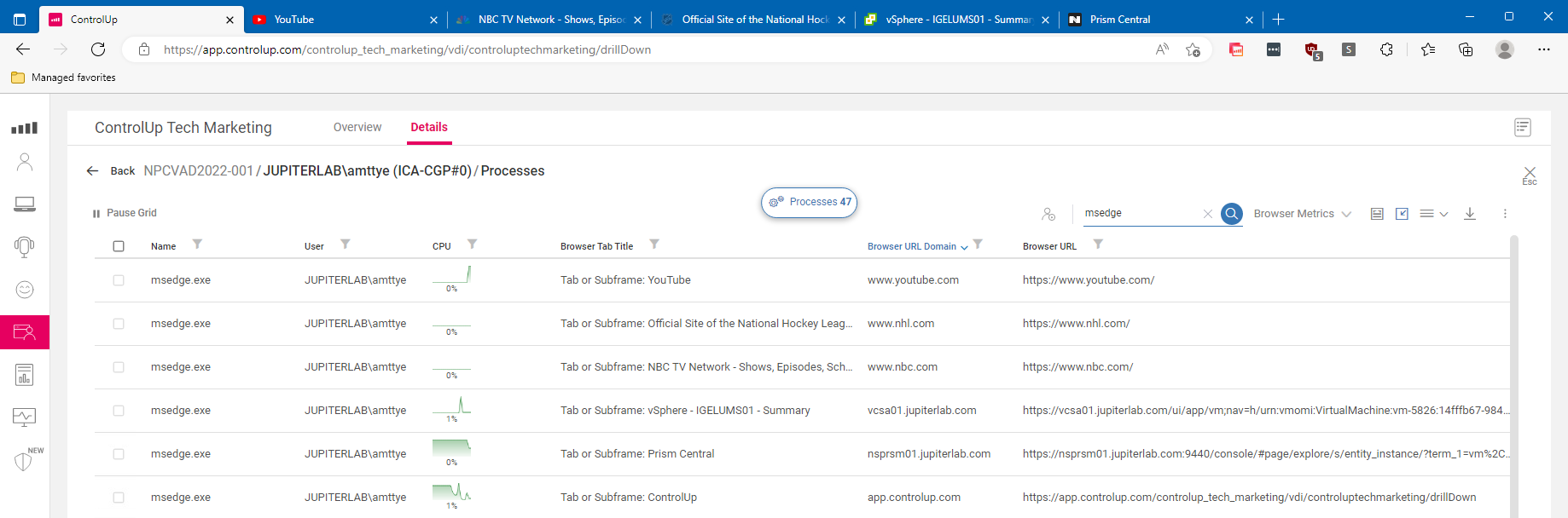 An image showing the Processes for a user in ControlUp with multiple ms-edge.exe processes and showing the URL and page title for each process